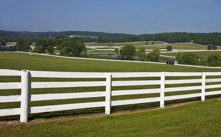 Post and rail