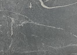 A grayscale micrograph showing a dense, granular biological tissue sample with fine, branching, lighter-colored fibers.