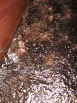 A close up of a person 's hand on a dirty surface.