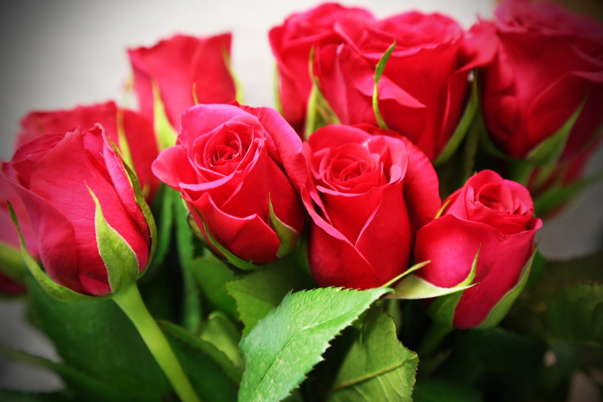 Bouquet of Roses
