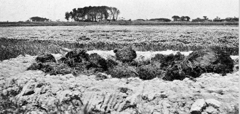 compost in china lang geleden