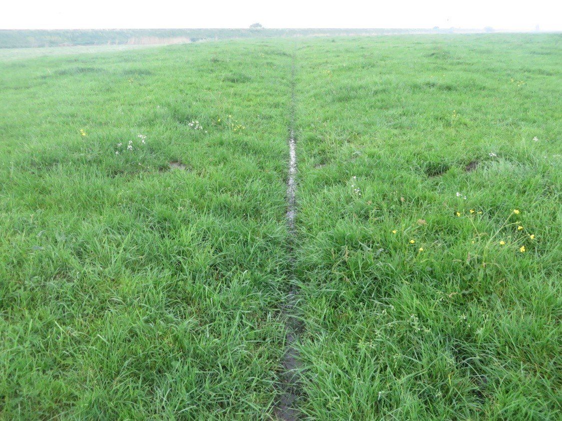 knipklei met greppel Landschap knipklei Friesland