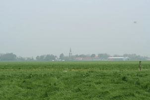 Zware klei bij Middelburg Landschap gras op zware klei bij Middelburg