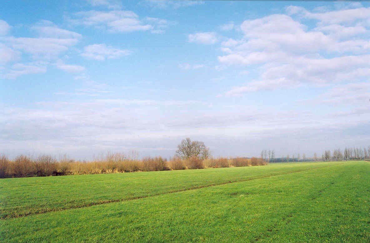 Zware klei bij Culemborg in de Betuwe Zware klei bij Culemborg in de Betuwe