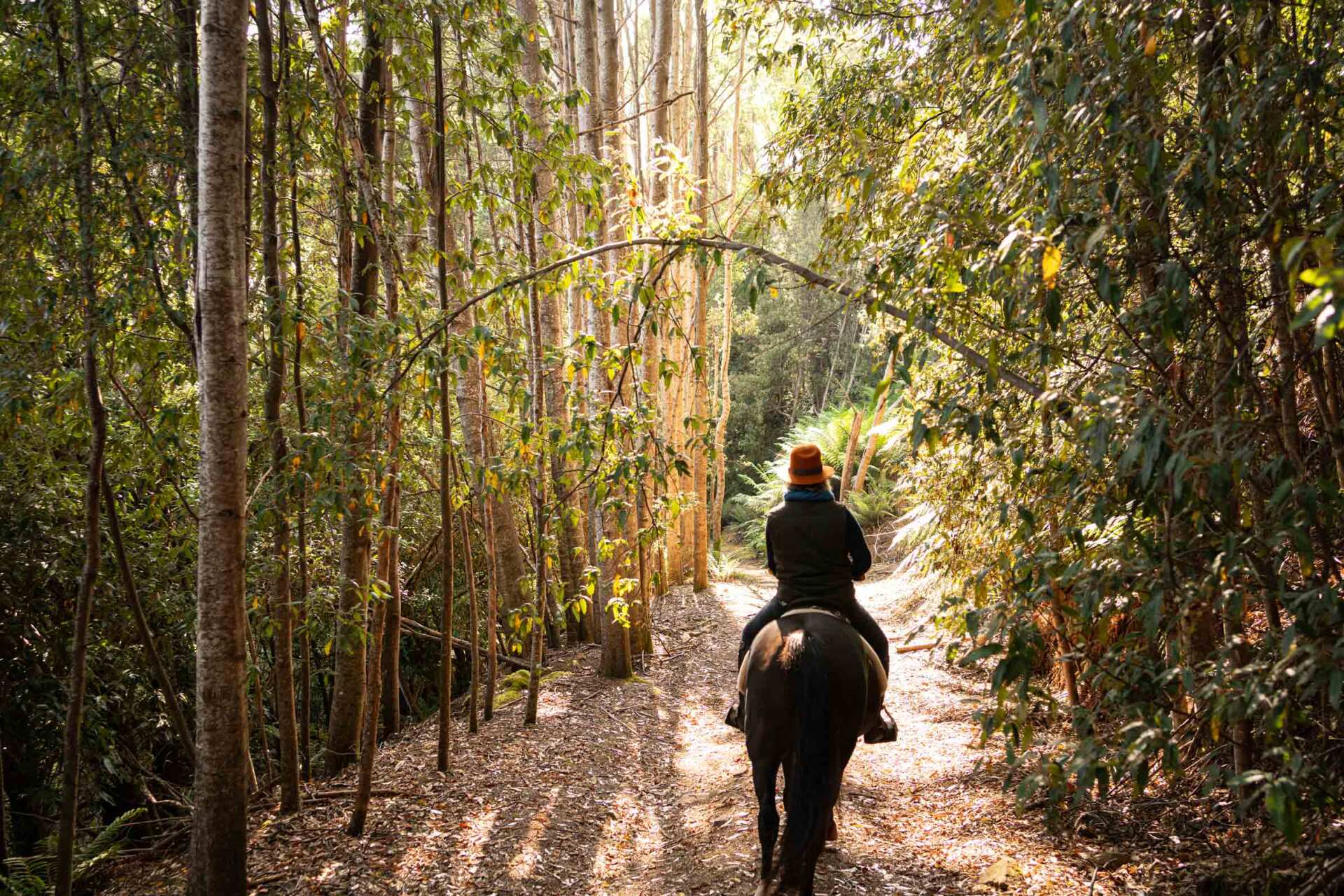 horse riding