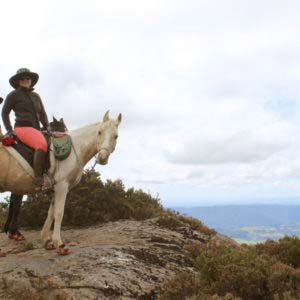 Horse Mountain