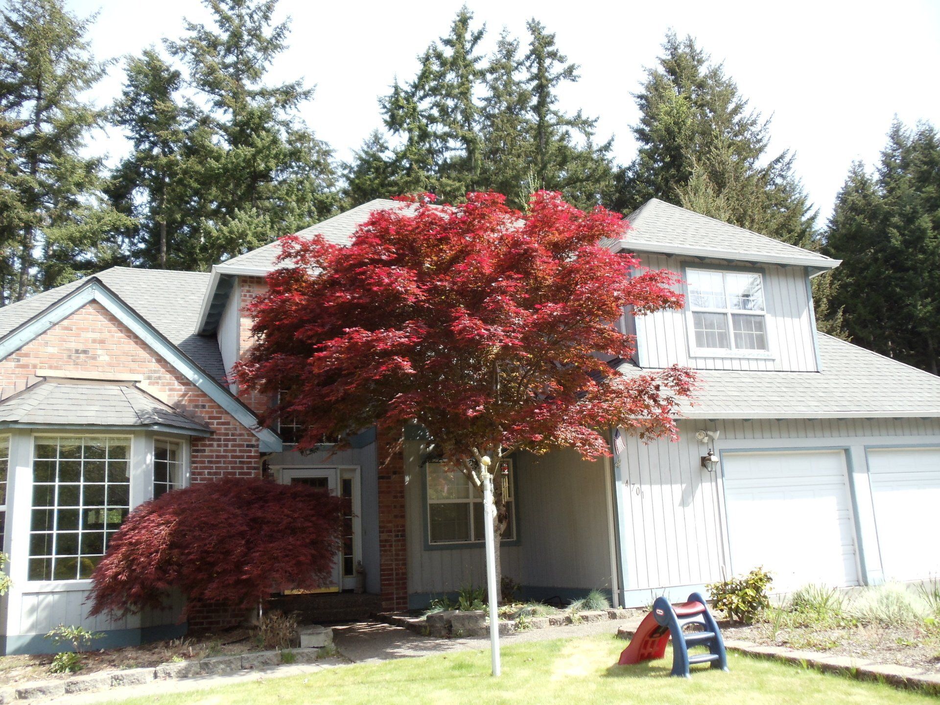 Newly Repaired Roof — Olalla, WA — Peninsula Roofing LLC