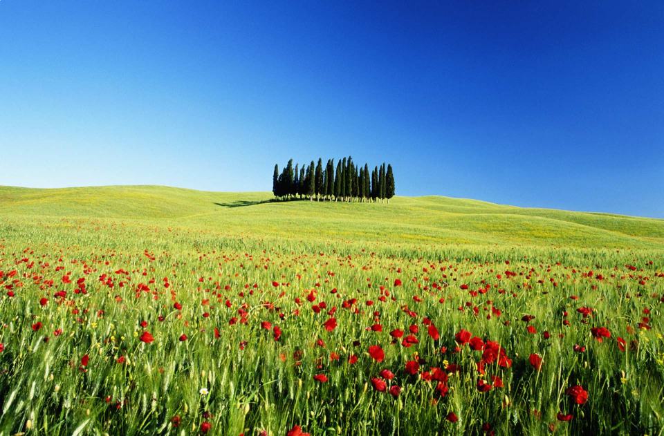 Servizio funebri