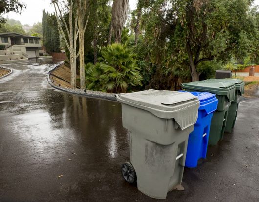 Trash can photo