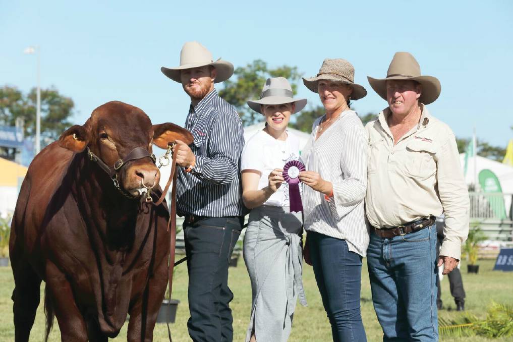 Champion red: Kris, Donna, Kristine and Peter Dingle with Redline Napoleon by Jateebee Nemo. Redline Napoleon won Calf Champion Bull at Beef 2018.