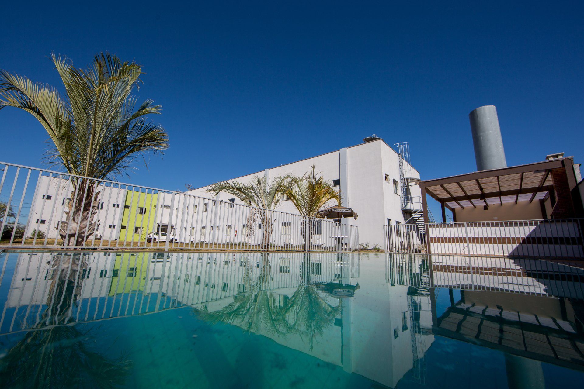 Uma piscina com um edifício ao fundo e uma palmeira em primeiro plano.