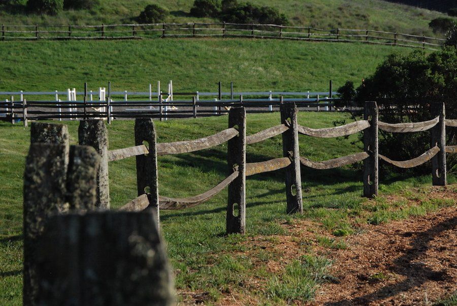 pasture