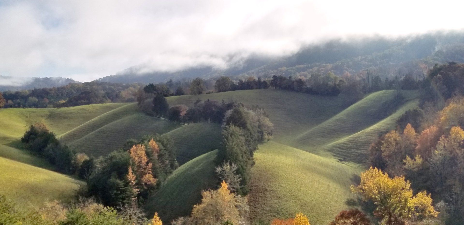 A view of a valley with trees and grass on a cloudy day