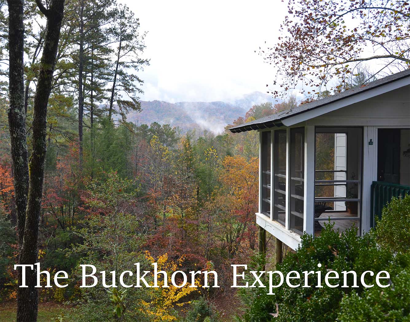 A house with a screened in porch surrounded by trees and the words the buckhorn experience