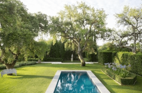 igienizzanti per piscine igienizzanti per piscine
