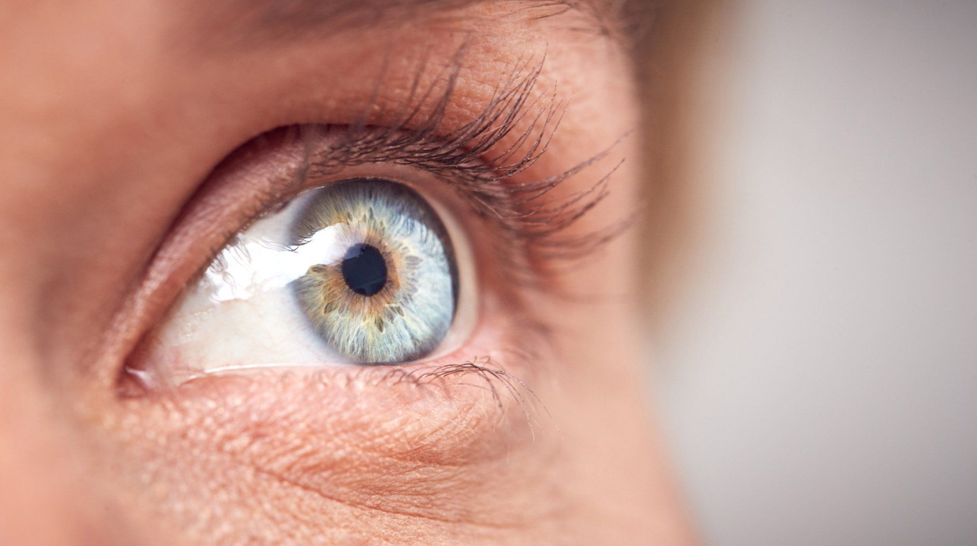 Close Photo Of An Eye — Clarksville, TN — Carla L. Jones, O.D. Close Photo Of An Eye — Clarksville, TN — Carla L. Jones, O.D.