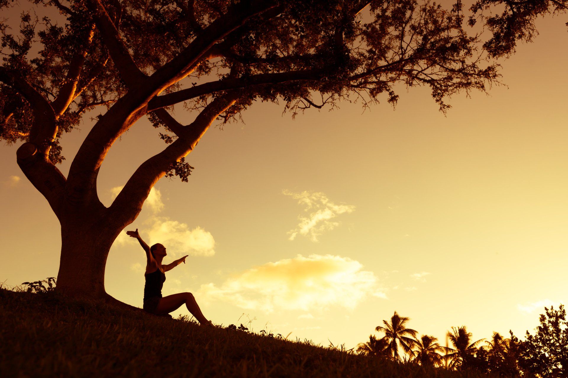 Gratitude and healing