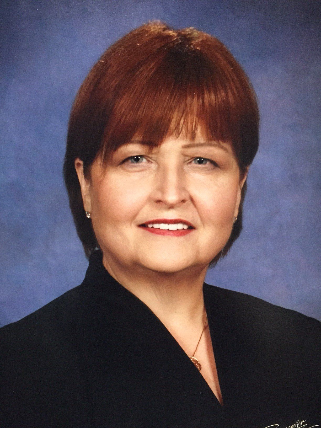 Veterinary Instills A Therapeutic Drop — Houston, TX — Gulf Coast Animal Eye Clinic