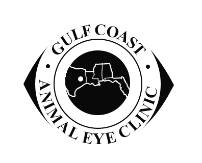Gulf Coast Animal Eye Clinic Gulf Coast Animal Eye Clinic