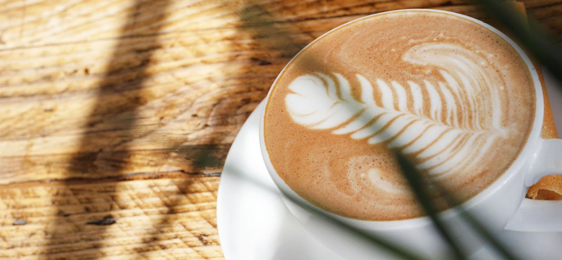 coffee cup at no5 cafe in romsey hampshire