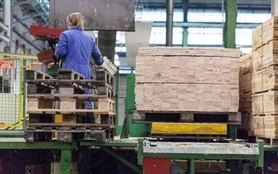 produzione bancale