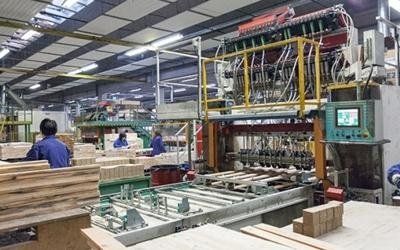 stabilimento produttivo pallet