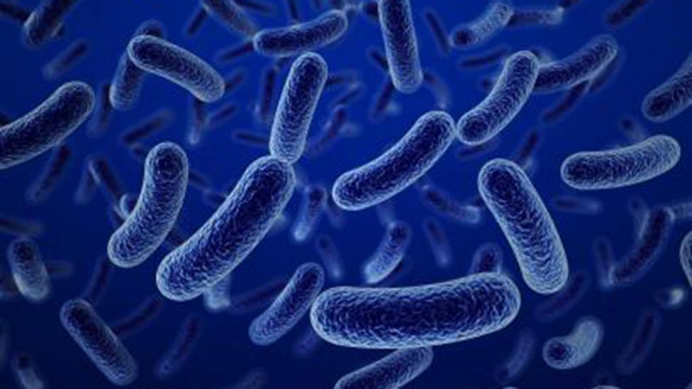 Una imagen generada por computadora de bacterias sobre un fondo azul.