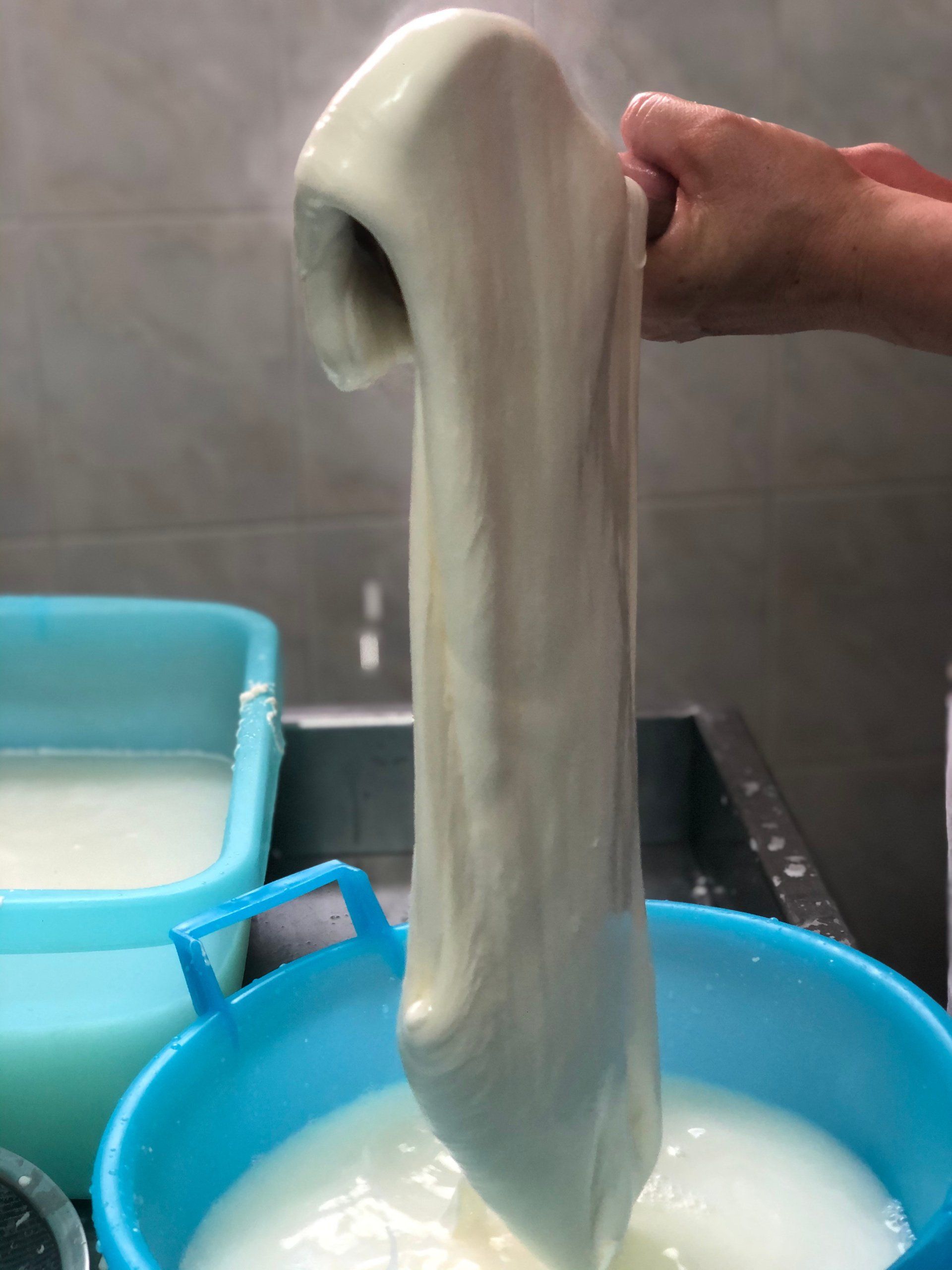 filatura formaggio