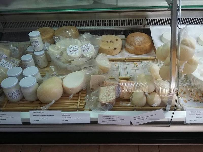 Formaggi tipici al bancone di un negozio