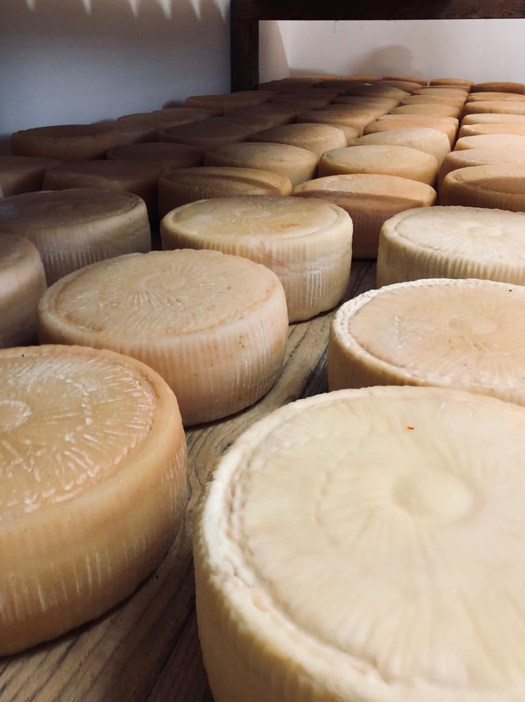 Bagnando con la manichetta i barili che devono contenere il vino