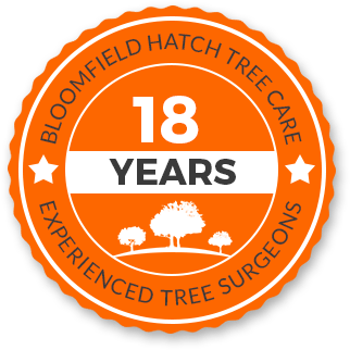 18 years