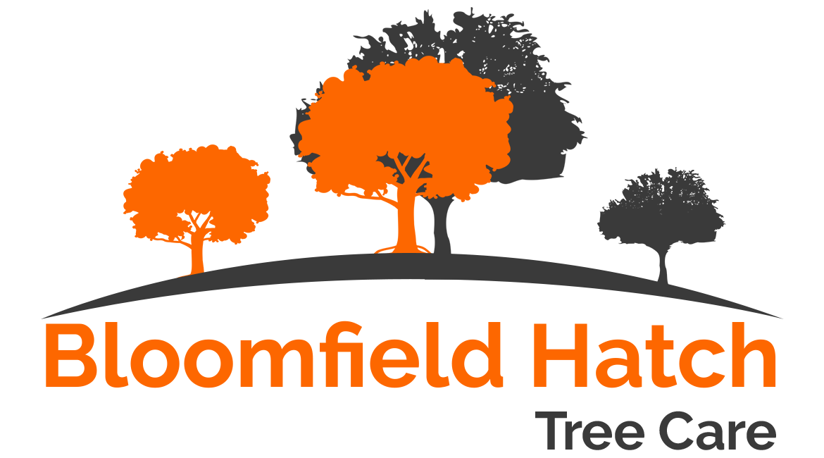 BLOOMFIELD HATCH TREE CARE-LOGO