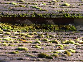 ROOF DEMOSSING