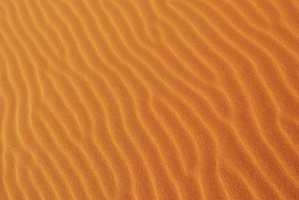 DESERT LANDSCAPING