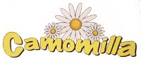 Asilo Nido Camomilla - LOGO