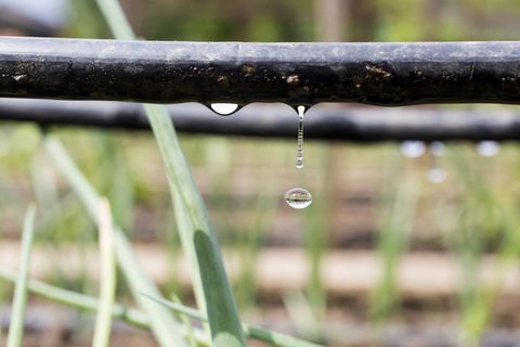Drip Irrigation Supplies and Installation — Brooksville, FL — Golden X Plumbing Supply Inc. Drip Irrigation Supplies and Installation — Brooksville, FL — Golden X Plumbing Supply Inc.