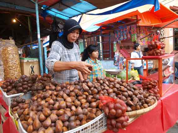 Sumatra Reise Norden in den Westen