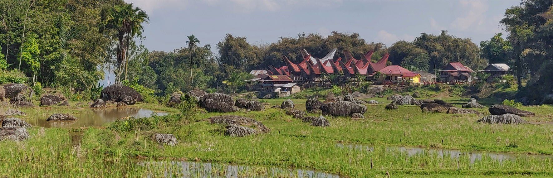 sulawesi toraja land reise