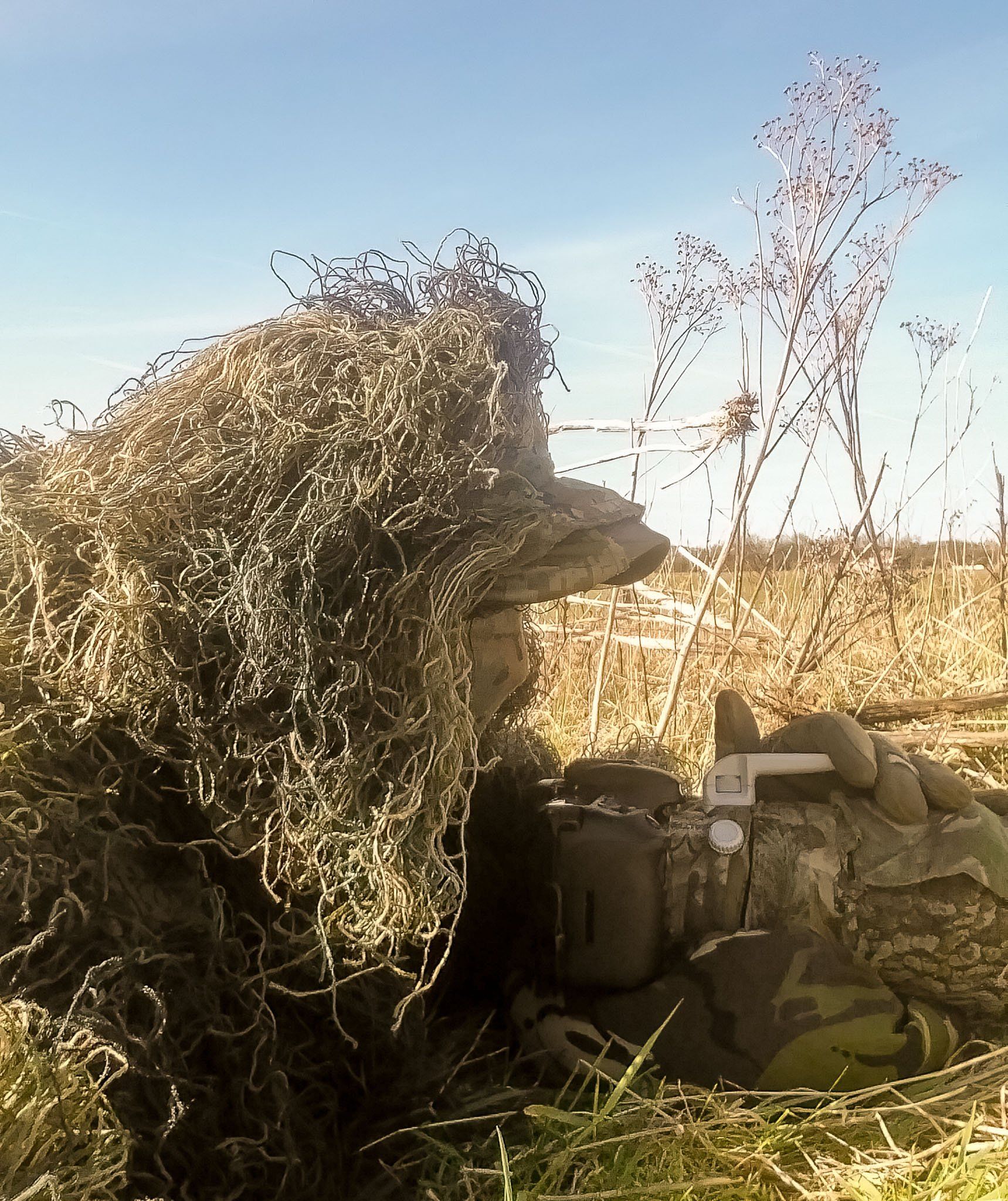 Images by Paul C Bennett Photography | Out in the Field, Camouflage, Photographing Hares