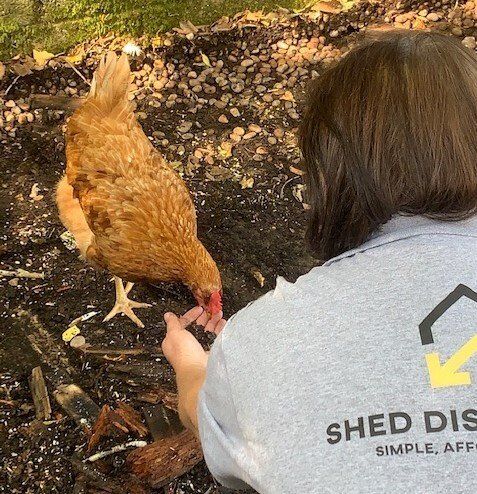 Shed Disposal U