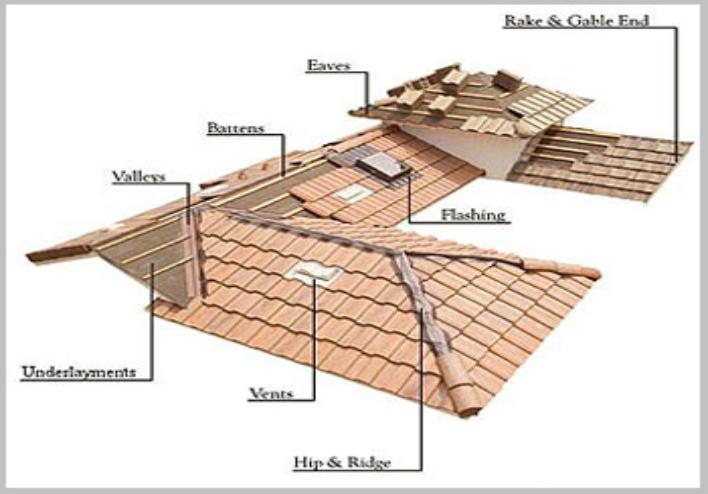roof anatomy