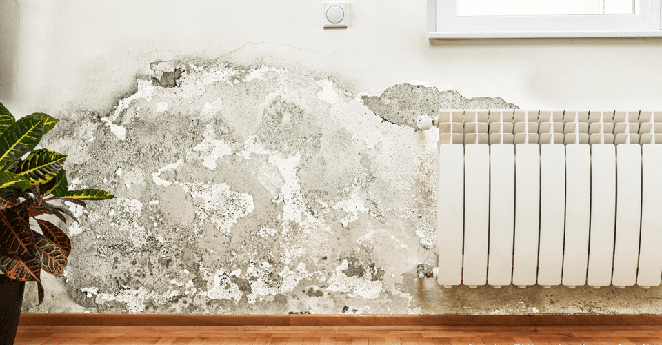 Quality condensation solutions