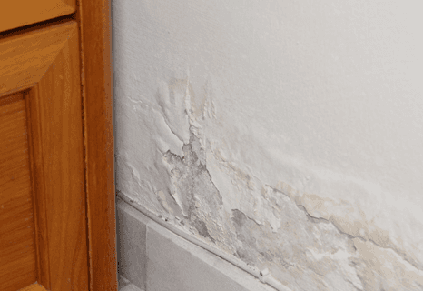 penetrating damp