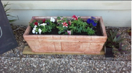 big rectangle pot