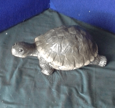 tortoise