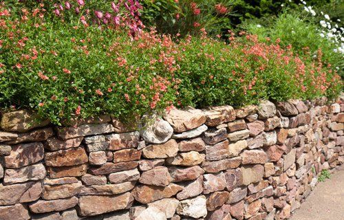 Dry stone walling