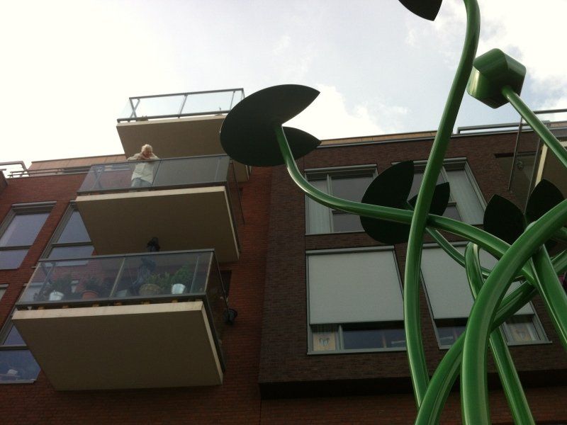 kunstprojectwaterleliesZaltbommel
