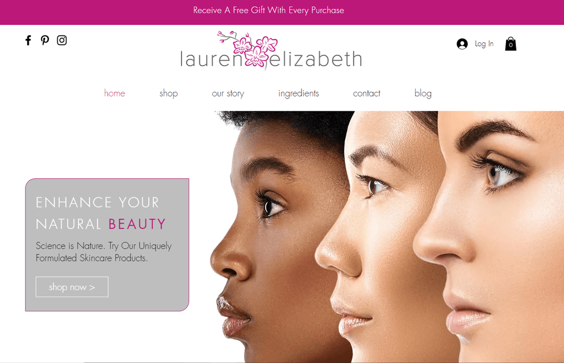 Web Design Services In Suwanee