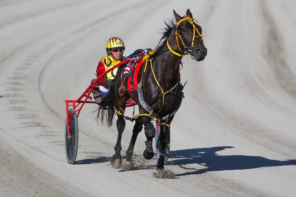 Horses and drivers