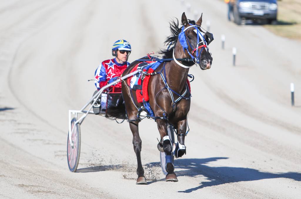Horses and drivers